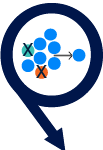 BQ_Flow_WhatIsRation_R